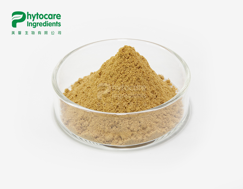 Red jujube Powder